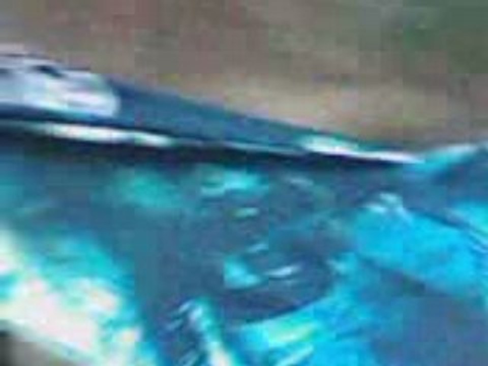 VID008