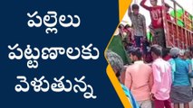 కర్నూలు జిల్లా: తెలంగాణ పొలాల్లో ఆంధ్రా కూలీలు.. పనులు దొరక్క వలసలు!