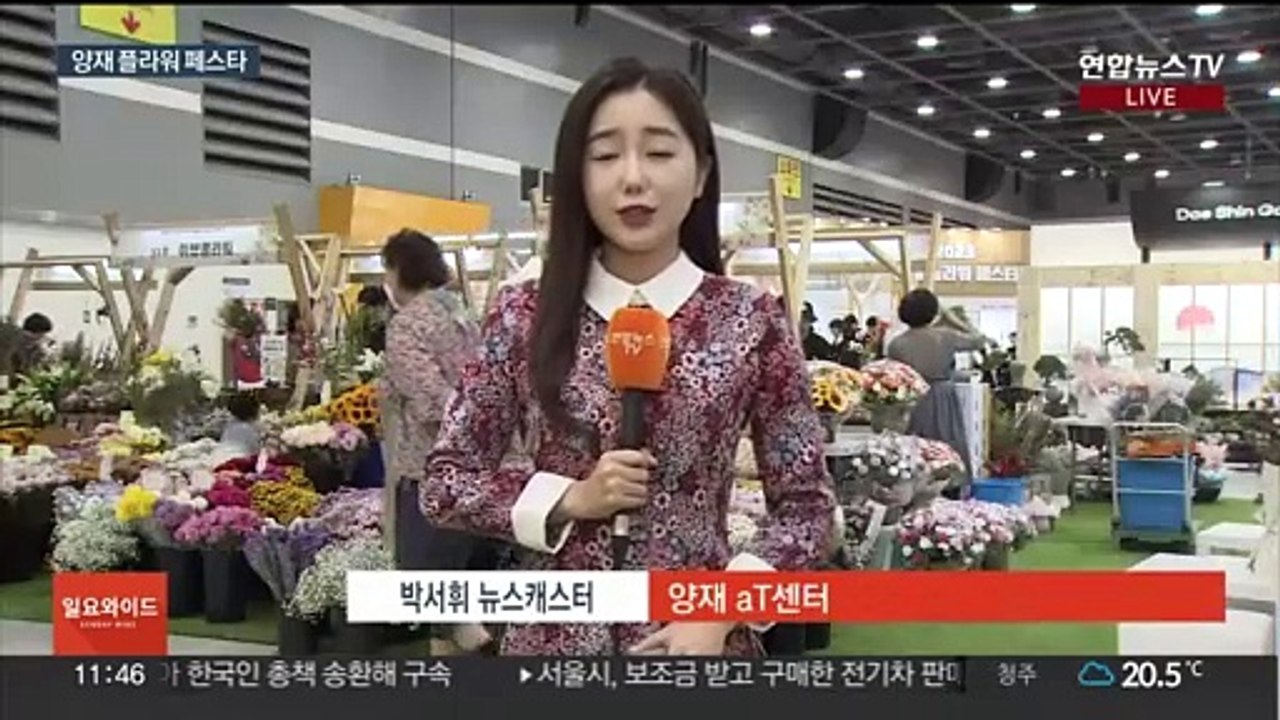 도심에서 즐기는 꽃들의 향연…양재 플라워 페스타