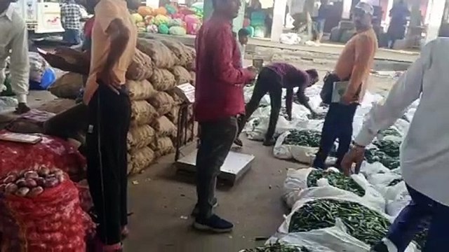 महंगाई से राहत : मुहाना थोक मंडी में सब्जियां सस्ती बिक रही