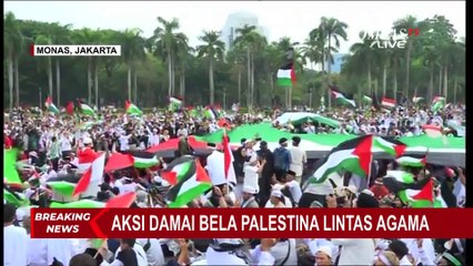 Скачать видео: Alasan Menlu Retno Marsudi Pilih Baca Puisi daripada Berorasi di Aksi Damai Bela Palestina