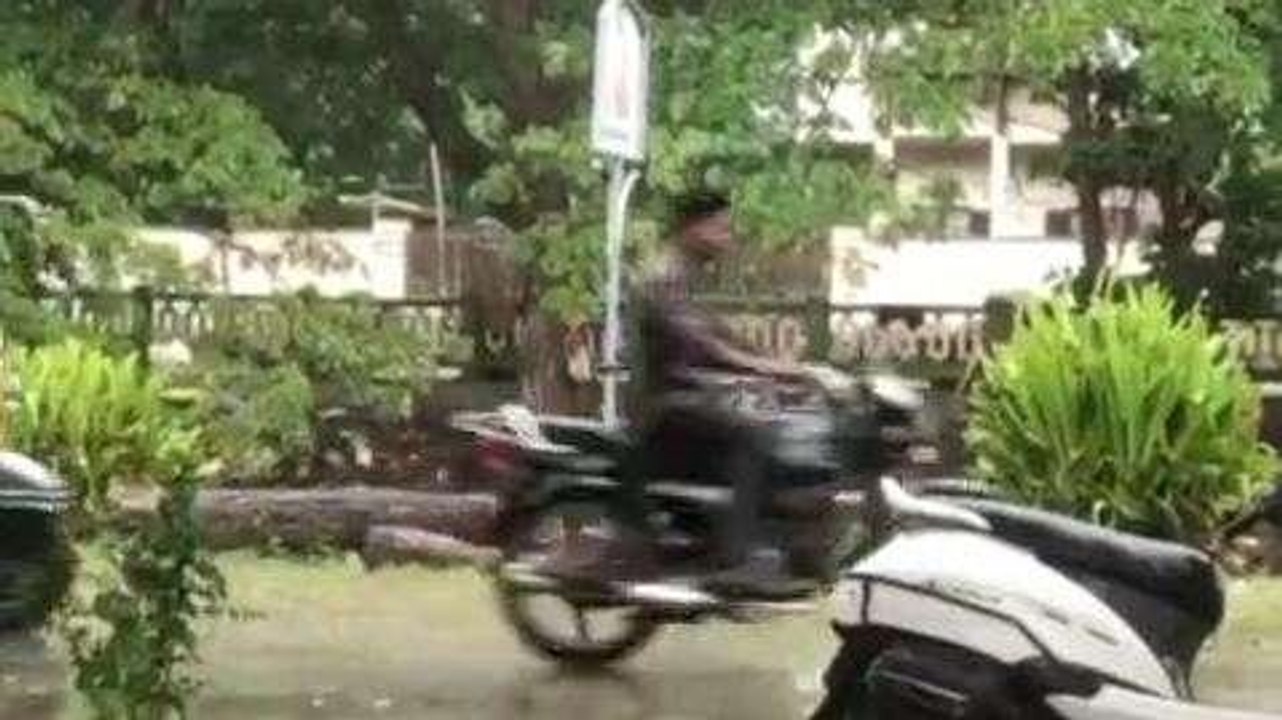 పశ్చిమ గోదావరి: జిల్లాలో దుమ్మురేపిన వాన