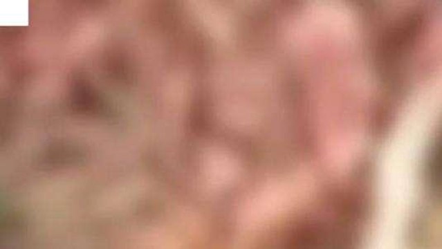 लखीमपुर खीरी: गन्ने के खेत में पड़े मिले प्रतिबंधित पशु के अवशेष,लोगों में आक्रोश