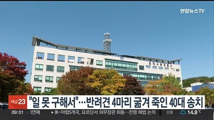 "직장 못 구해서"…반려견 4마리 굶겨 죽인 40대 송치