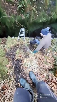 Lamb Rescued From Deep Ravine