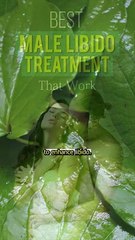 Betel Leaves for Wellness