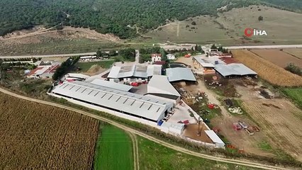 Bursa'da Kardeşlerin Ucuz ve Doğal Et Üretimi