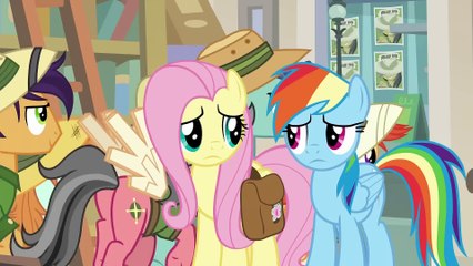 My Little Pony - Sezon 9 Odcinek 21 - Prawda o Dzielnej Do