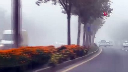 Diyarbakır'da sis görüş mesafesini düşürdü