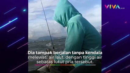 VIDEO Misteri Pria Berjalan di Atas Air, Warganet: Yesus