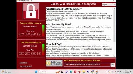 What is WannaCry ransomware 002