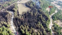 Gelibolu'da çıkan orman yangınında çiftlikler zarar gördü