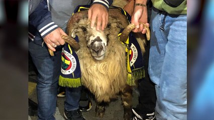 Taraftar, Trabzonspor kafilesini Fenerbahçe atkılı koçla karşıladı