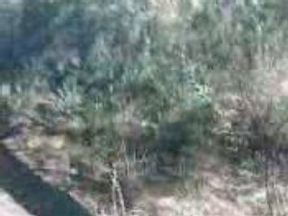 VID005