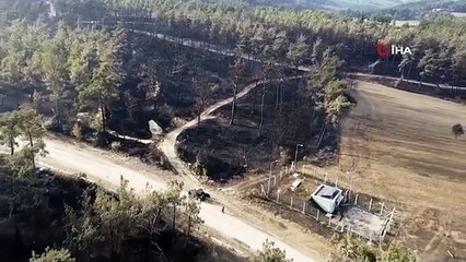 Une ferme ovine incendiée dans un incendie à Çanakkale