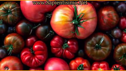 30 Alimentos para Tratamiento de Radioterapia