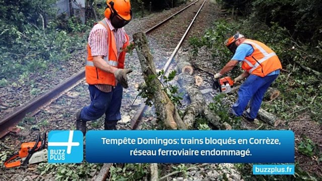 Tempête Domingos: trains bloqués en Corrèze, réseau ferroviaire endommagé.