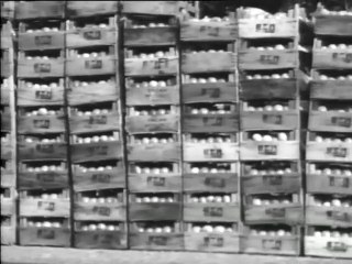 ΟΙ ΝΕΟΙ ΘΕΛΟΥΝ ΝΑ ΖΗΣΟΥΝ - 1965 - VHSRip - 720x564