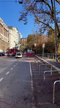 Maltempo a Milano, albero si sradica e si abbatte su un pullman di turisti