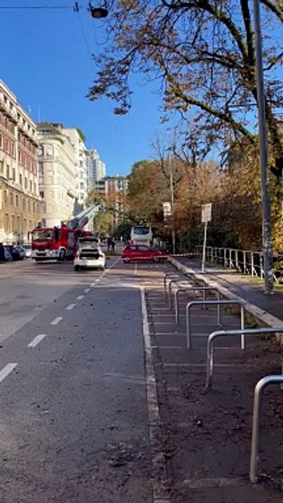 Maltempo a Milano, albero si sradica e si abbatte su un pullman di turisti