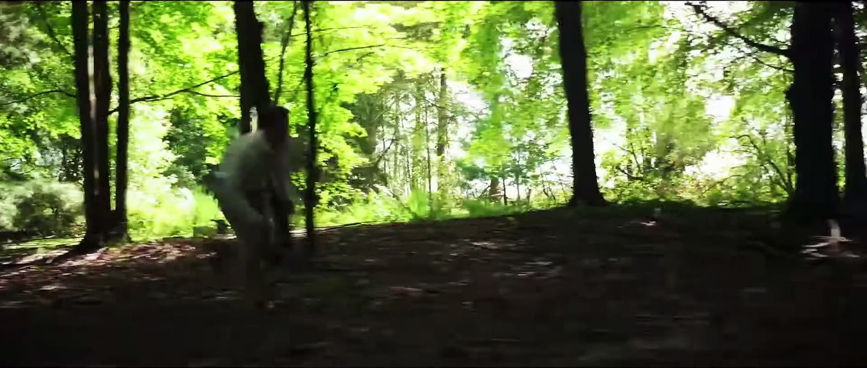 Immortal Combat The Code Movie