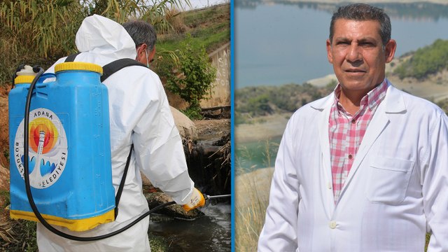 Uzmanlar uyarıyor: Küresel ısınma vektörel hastalık tehlikesini artırdı!