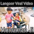 Langoor Viral Video, Langoor Funny Videos, Mankey Reaction Video, New Langoor Shorts,#Langoorvideo#Funnyanimals