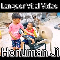 Langoor Viral Video, Langoor Funny Videos, Mankey Reaction Video, New Langoor Shorts,#Langoorvideo#Funnyanimals