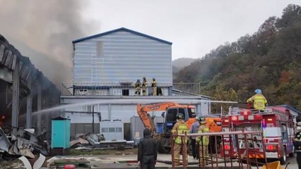 강원도 삼척 양계장 불...닭 28만 마리 떼죽음 / YTN