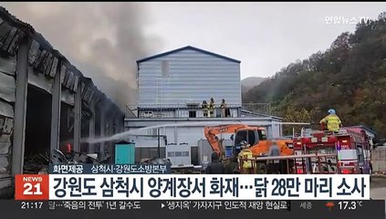강원도 삼척시 양계장서 화재…닭 28만 마리 소사