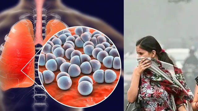 जहरीली हवा में सांस लेने से कौन सी बीमारी होती है | 100 AQI Side Effects In Hindi | Boldksy