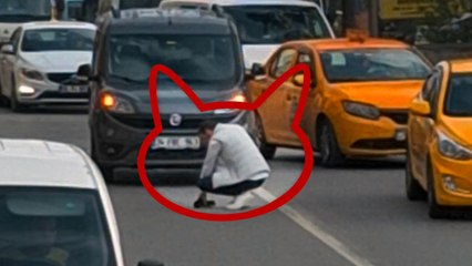 Kartal'da trafiği duran şöför yavru kediyi ezilmekten kurtardı