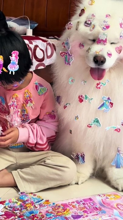 Cute dog