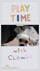 Play Time With Chambe 