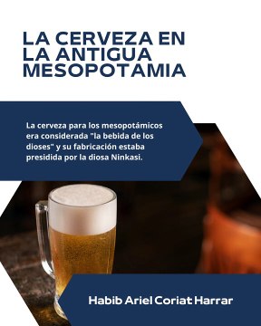 |HABIB ARIEL CORIAT HARRAR | CIUDADES PLANIFICADAS EN LA ANTIGUA MESOPOTAMIA (PARTE 3) (@HABIBARIELC)