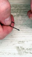 Simplify Your Fishing Trip With These Tip Diy Lifehack Camping