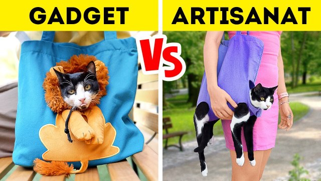 Gadgets pour chats VS Artisanat Astuces parfaites pour les propriétaires de chats