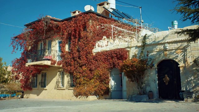 Entre el amor y el odio - Capitulo 275