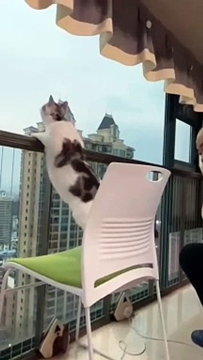 #FYP #ForYou #TikTokFYP #ForYouPage #Trending #Viral #ExplorePage #FYPシ #menghianati #FYPMe #c4tscutes #cat5