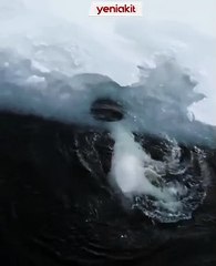 Yok böyle bir keyif