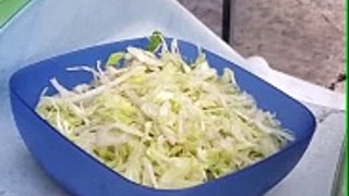 Bowl Full of Lettuce - Slide Test