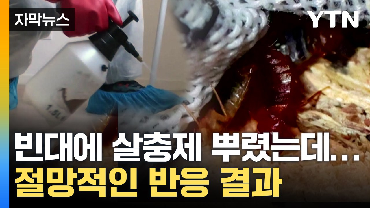 [자막뉴스] 살충제 뿌려봤더니...'빈대' 많아진 이유 있었다 / YTN
