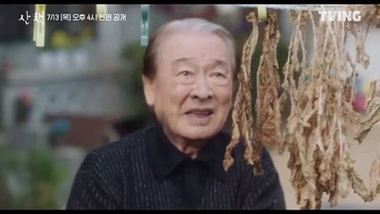 [오프닝 2023] 산책ㅣ예고ㅣTVING