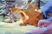 Tom and Jerry kids - Wildmouse 1990 - Funny animals cartoons for kids