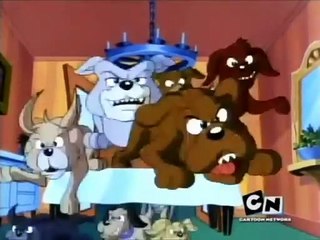 Tom and Jerry Kids S 01 E 03 C - DOG DAZE AFTERNOON _LOOcaa_