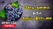 கருப்பு திராட்சையின் மகத்துவம் | Karuppu Thirachai Benefits in Tamil | Black Grape Juice Benefits