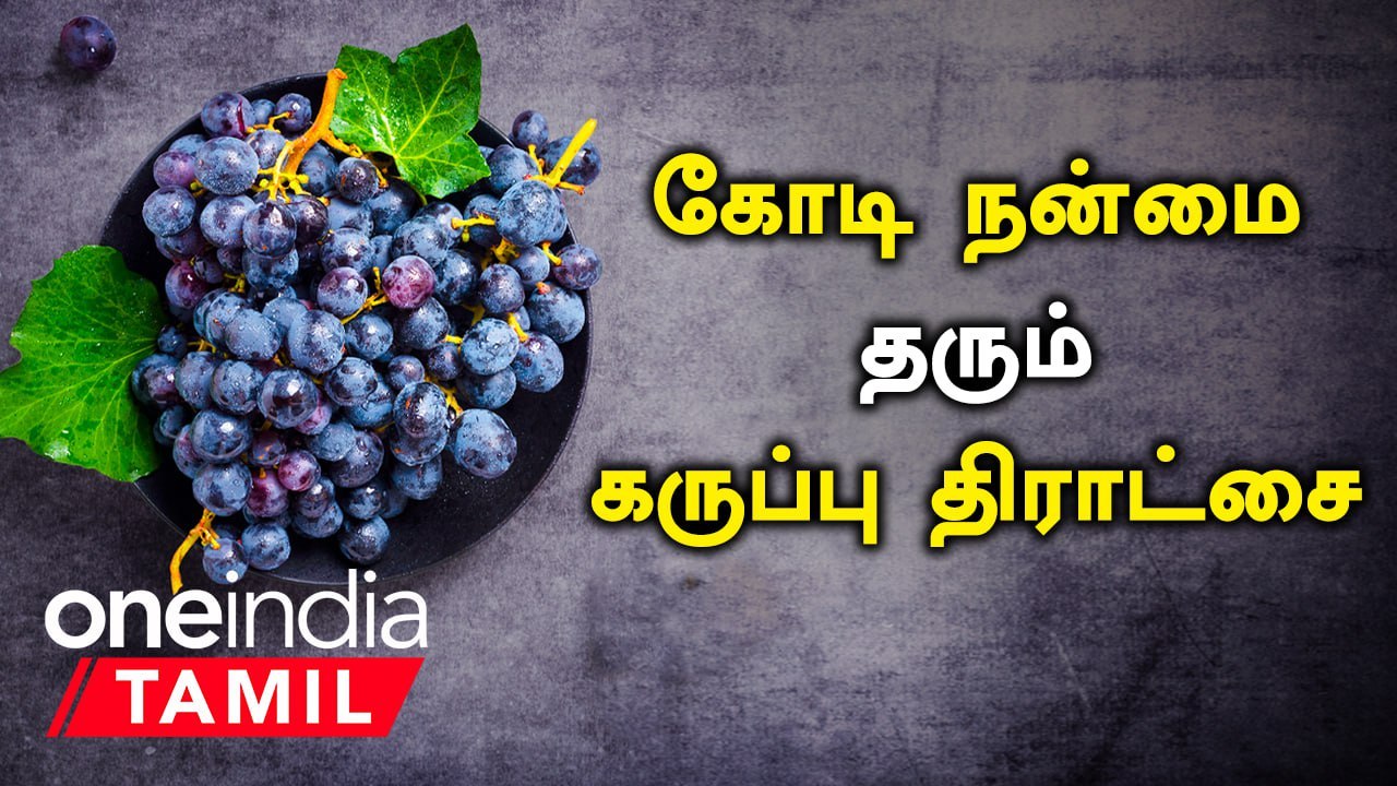கருப்பு திராட்சையின் மகத்துவம் Karuppu Thirachai Benefits in Tamil