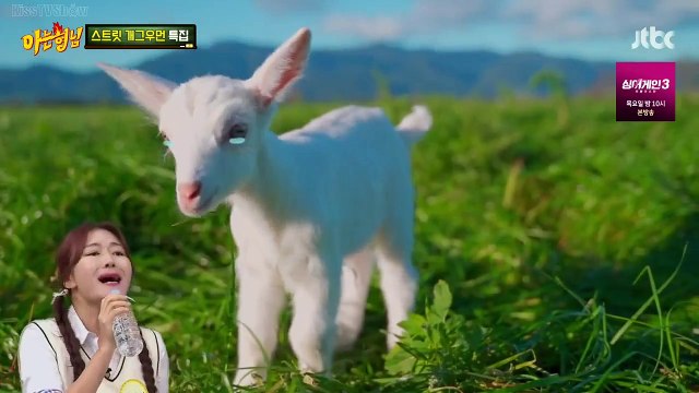 Kim Mi Ryeo's sad baby song, Hur Anna's 220v nose, the fight between the comedian couple