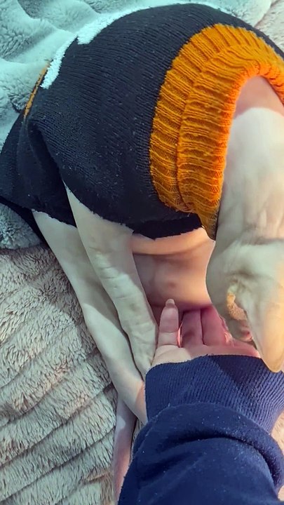 Cat Warms His Beans