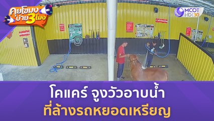 โคแคร์ จูงวัวอาบน้ำที่ล้างรถหยอดเหรียญ (3 พ.ย. 66) | คุยโขมงบ่าย 3 โมง